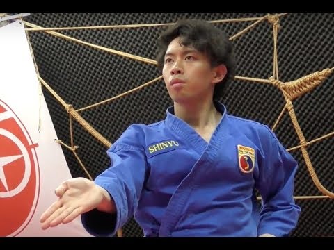 ボビナム PART29 VOVINAM ベトナム総合武術 Rising Star