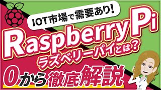RaspberryPi（ラズベリーパイ）とは？特徴やできることをわかりやすく紹介！【初心者必見です】