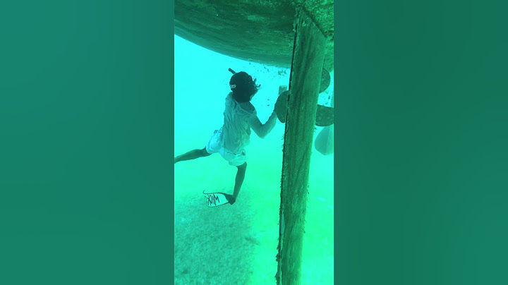 Person is scraping barnacles and other marine growth off the bottom of their boat!