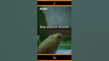 Snake Grows 0.5 cm Every Second !!😱🤯 #shorts #facts #growth