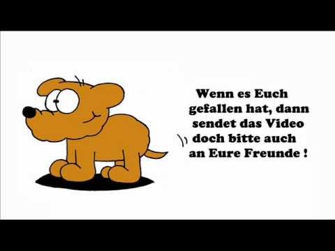 Zeichnen Lernen Fur Kinder Hund Lustige Comic Tiere Online Malen Lernen Tutorial Youtube