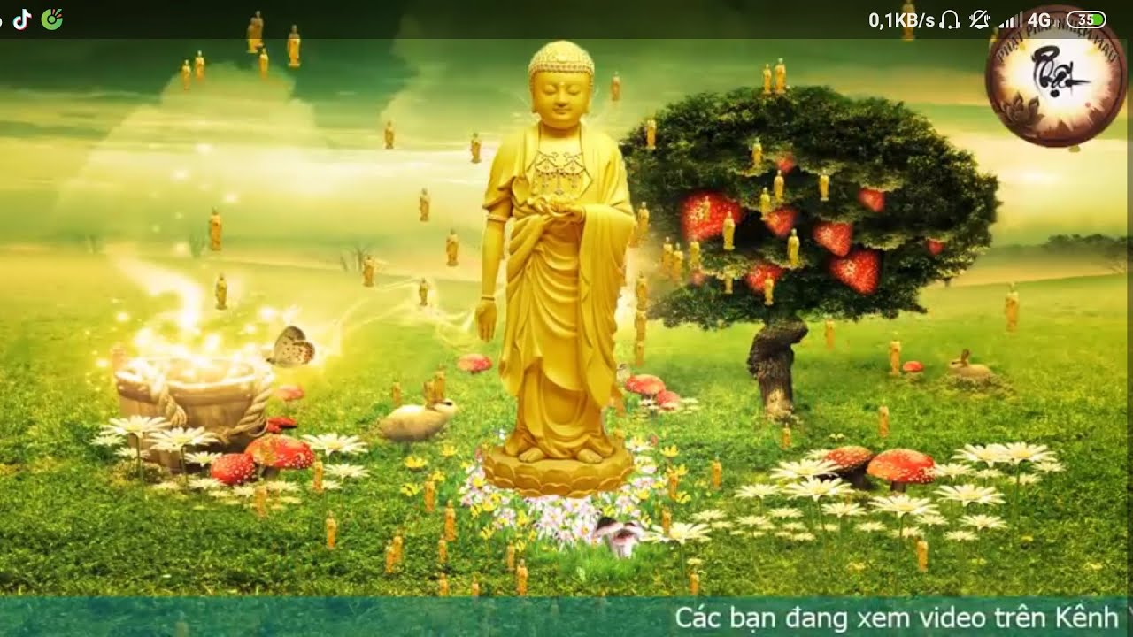 Очень хорошая буддийская музыка для декламации - NAMO Amitabha Buddha |  Буддийские сутры СМИ