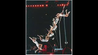 (8-2) A 6.0-kg monkey swings from one branch to another 1.3 m higher. What is the change in gravitat