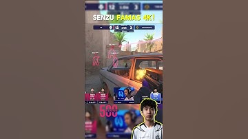 Famas new Meta?! #senzu #cs2 #csgo #clutch #donk #s1mple