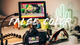¿Que es el False Color? - Básicos de vídeo