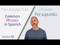 Common Phrases in Spanish | The Language Tutor *Lesson 80*