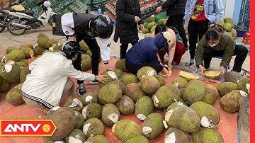 Tắc Cửa Khẩu, Mít Thái “Quay Đầu” Về Thủ Đô Chờ “Giải Cứu” | Tin Tức 24h | ANTV