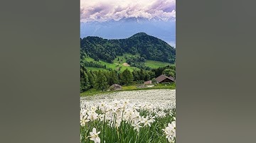 سورة الأعراف - تلاوة جميلة جداً