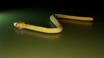 Rigged Snake Wiggle Maya 2017 Animation