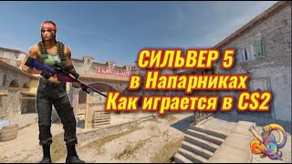 💛СИЛЬВЕР 5 в Напарниках - Как играется в CS2💛#cs2 #кс2