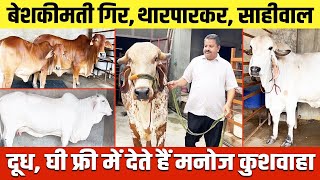 Top Class Gir, Tharparkar, Sahiwal Cow In UP । Must Watch । Manoj Kushwaha । Meerut ।