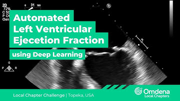 Automated Left Ventricular Ejection Fraction Assessment Using Deep Learning