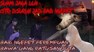 BABI NGEPET WANITA🔴DIPAKSA SUAMI SENDIRI BERTAHUN-TAHUN JADI BABI MENCURI UANG RATUSAN JUTA