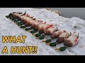 The BEST Mallard Hunt of My Life | Public Land Duck Hunting 2019