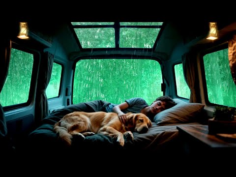 Sounds Rain For Sleeping 99 Hypnotized Asleep With Rain And Thunder Sound At Night Study 