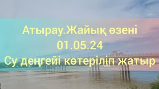 Атырау.Жайық өзені.01.05.24.Су деңгейі көтеріліп жатыр.