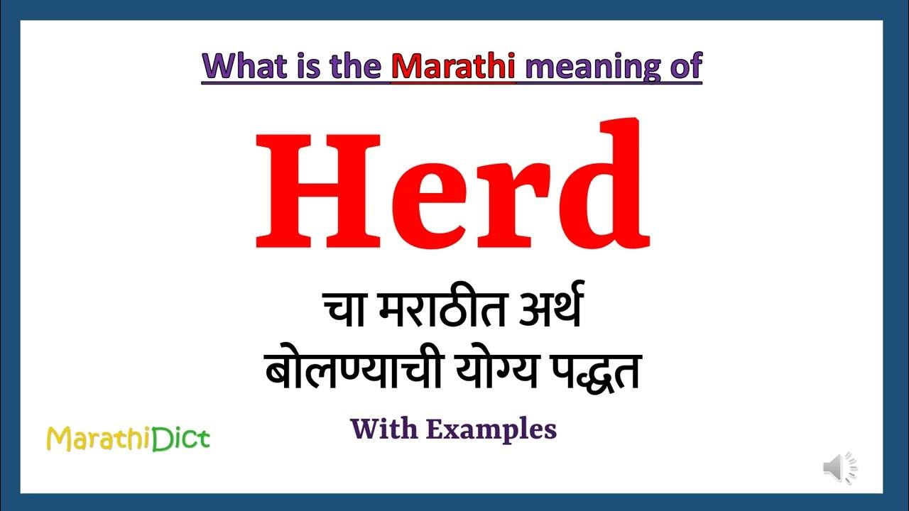 herd-meaning-in-marathi-herd-herd-in-marathi-dictionary