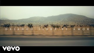 Video voorbeeld van "Chancho en Piedra - Dejando Libre el Amor"