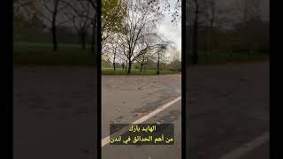 هايد بارك #لندن  #shorts