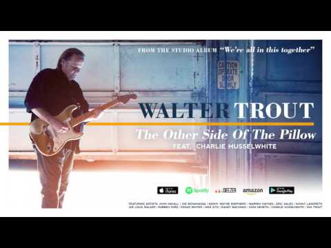 Putar The Other Side Of The Pillow - Walter Trout