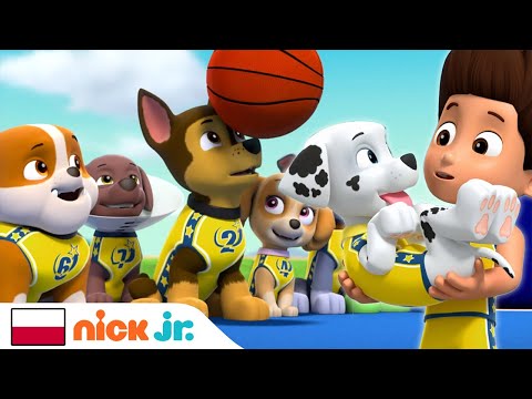 Psi Patrol | 30 minut Psiego Patrolu ratującego sytuację | Nick Jr.