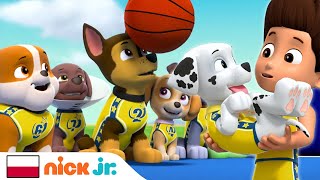 Psi Patrol | 30 minut Psiego Patrolu ratującego sytuację | Nick Jr. screenshot 4