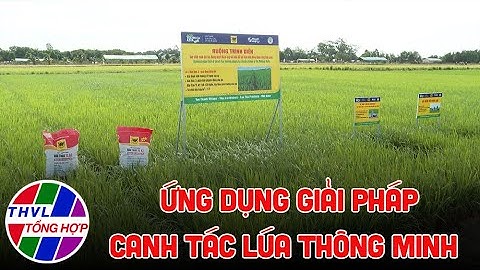 Nông nghiệp bền vững: Ứng dụng giải pháp canh tác lúa thông minh