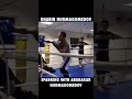 Khabib nurmagomedov sparring with abubakar nurmagomedov  shorts