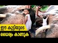 നാനും കൂടാം കുളിച്ചാൻ | Elephant bath in Kerala | Elephant Lovers #elephant #elephantinkerala