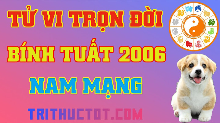 Sinh năm 2006 là tuổi con gì năm 2024