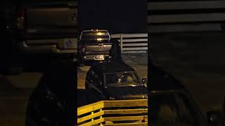 Bear Family Searches for Food at Tourist Complex