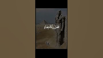 سورة الفيل #اكسبلور #ماشاءالله