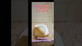 Kucing pintar  #kucingku #videoviral  #shortsfypシ #trendingreels