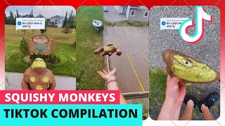 My Monkey Toy Is Splat Because Of Falling From Balcony. Tiktok Mashup.