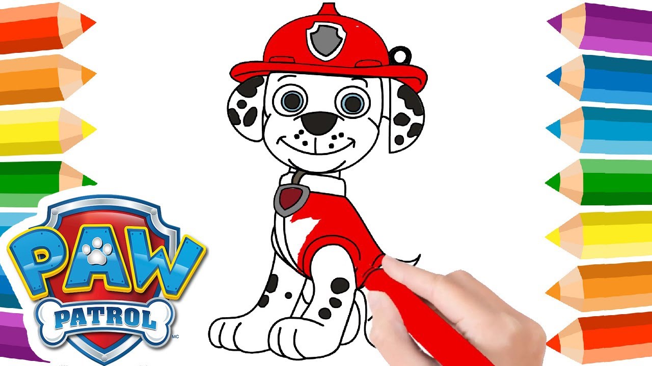 How to draw & color Marcus from Paw Patrol 🐾? Paw Patrol Dog Coloring  Drawing 
