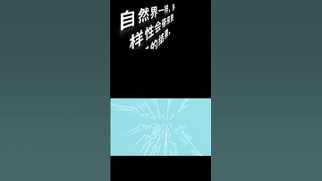 学习随机森林算法，提升机器学习技能！