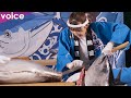 アンジュルム川村文乃がマグロ解体ショー、女性初の1級マグロ解体師 見事な包丁さばき