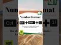 Number format Shortcut in Microsoft Excel - Shortcut of the day