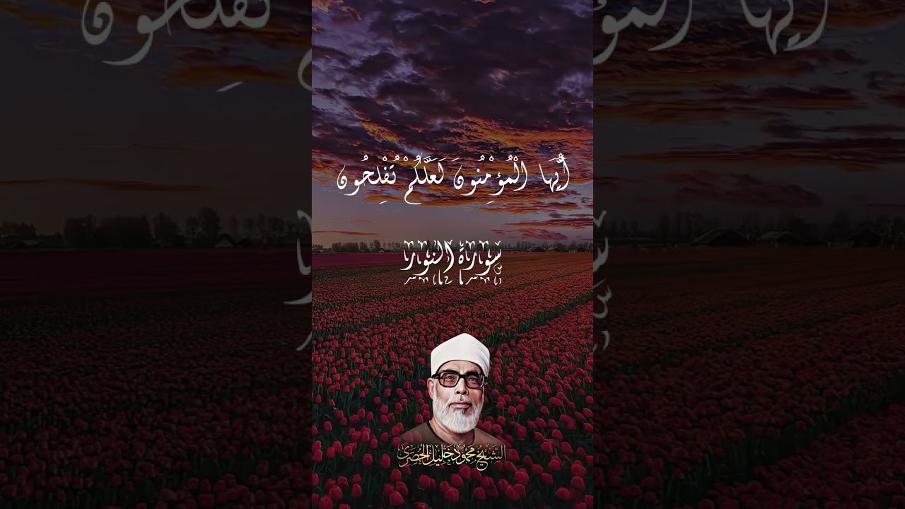 ( وَتُوبُوا إِلَى اللَّهِ جَمِيعًا )