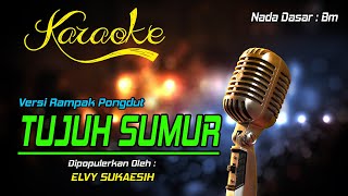 Karaoke TUJUH SUMUR - Elvy Sukaesih