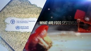 WHO-FAO - International Conference on Nutrition: What are food systems?