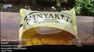 505 Lagu minyak goreng langka, Danu Kusumo Bojonegoro.