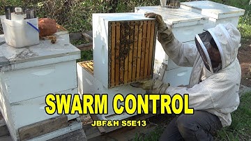 Checking for Swarm Cells to Prevent Swarms and Plan Splits S5E14 #beekeeping