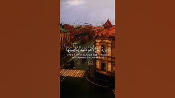 القران الكريم #رمضان  #محمد العريفي#بدر مشاري#خالد الجليل