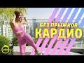 Жиросжигающая тренировка БЕЗ ПРЫЖКОВ | КАРДИО ТРЕНИРОВКА ДОМА