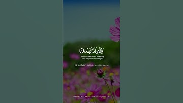 # سوره الاعلى #سبح اسم ربك الاعلى #اكسبلور