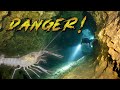 The Dangers of Cave Diving (reviewing the rules)