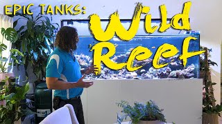 Epic Tanks: Wild Reef