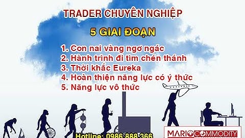 5 giai đoạn của một Trader chuyên nghiệp!!