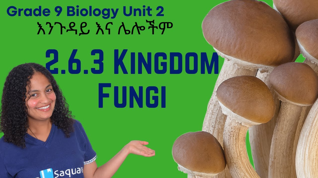 Grade 9 Biology Unit 2: 2.6.3 Kingdom Fungi Saquama | ሳቋማ